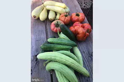 15700 Trapshire Court, Waterford, VA 20197 - Photo 106