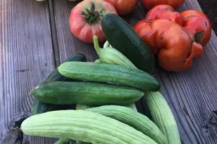 15700 Trapshire Ct, Waterford, VA 20197 - Photo 106