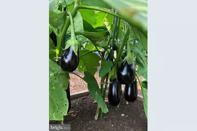 15700 Trapshire Court, Waterford, VA 20197 - Photo 104