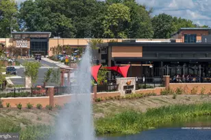 43763 Orchid Dove Ter, Ashburn, VA 20147 - Photo 36