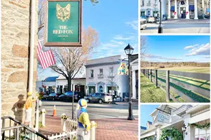 17 Stonewall Ct, Middleburg, VA 20117 - Photo 26