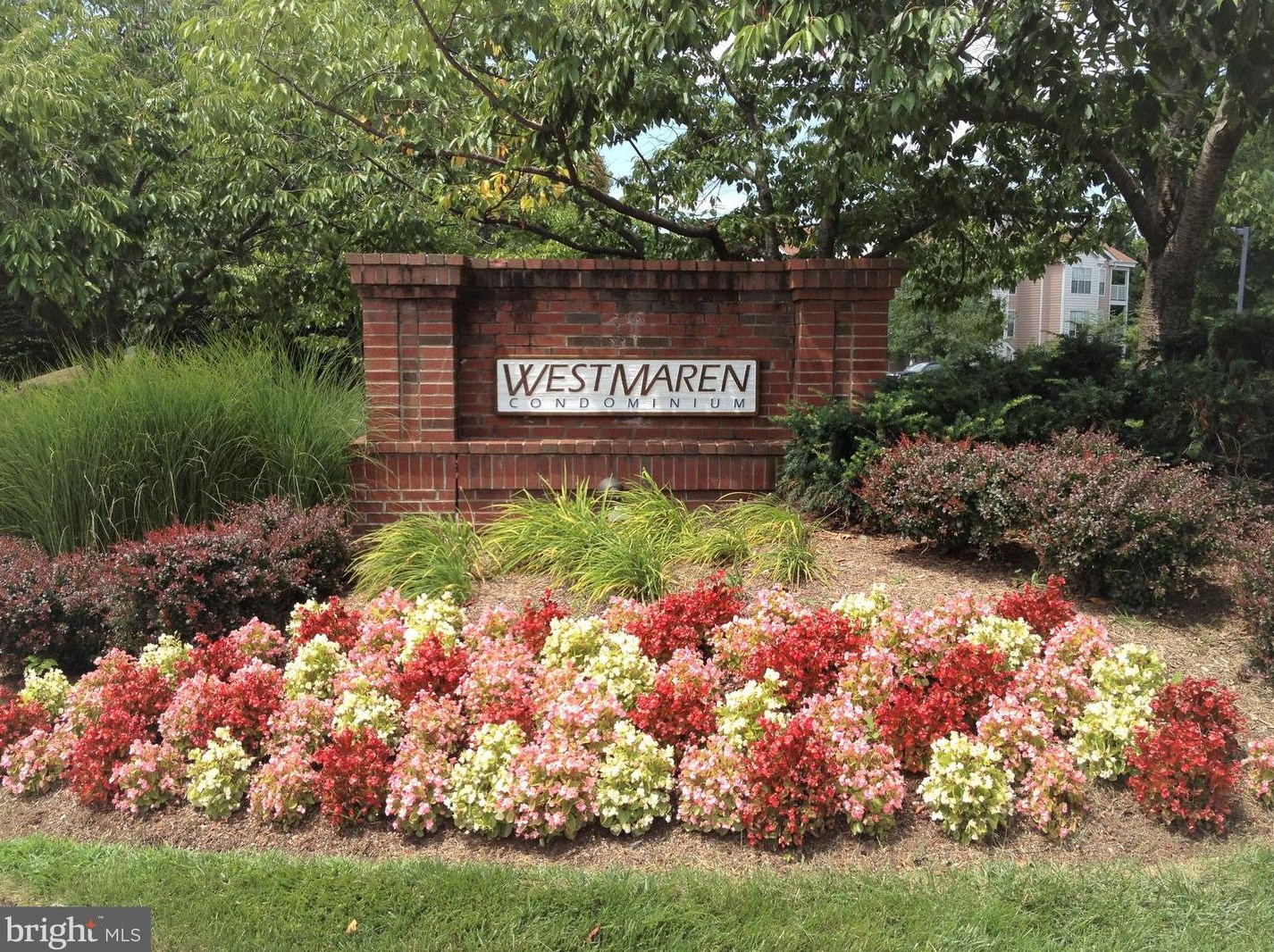 21019 Timber Ridge Ter #203, Ashburn, VA 20147