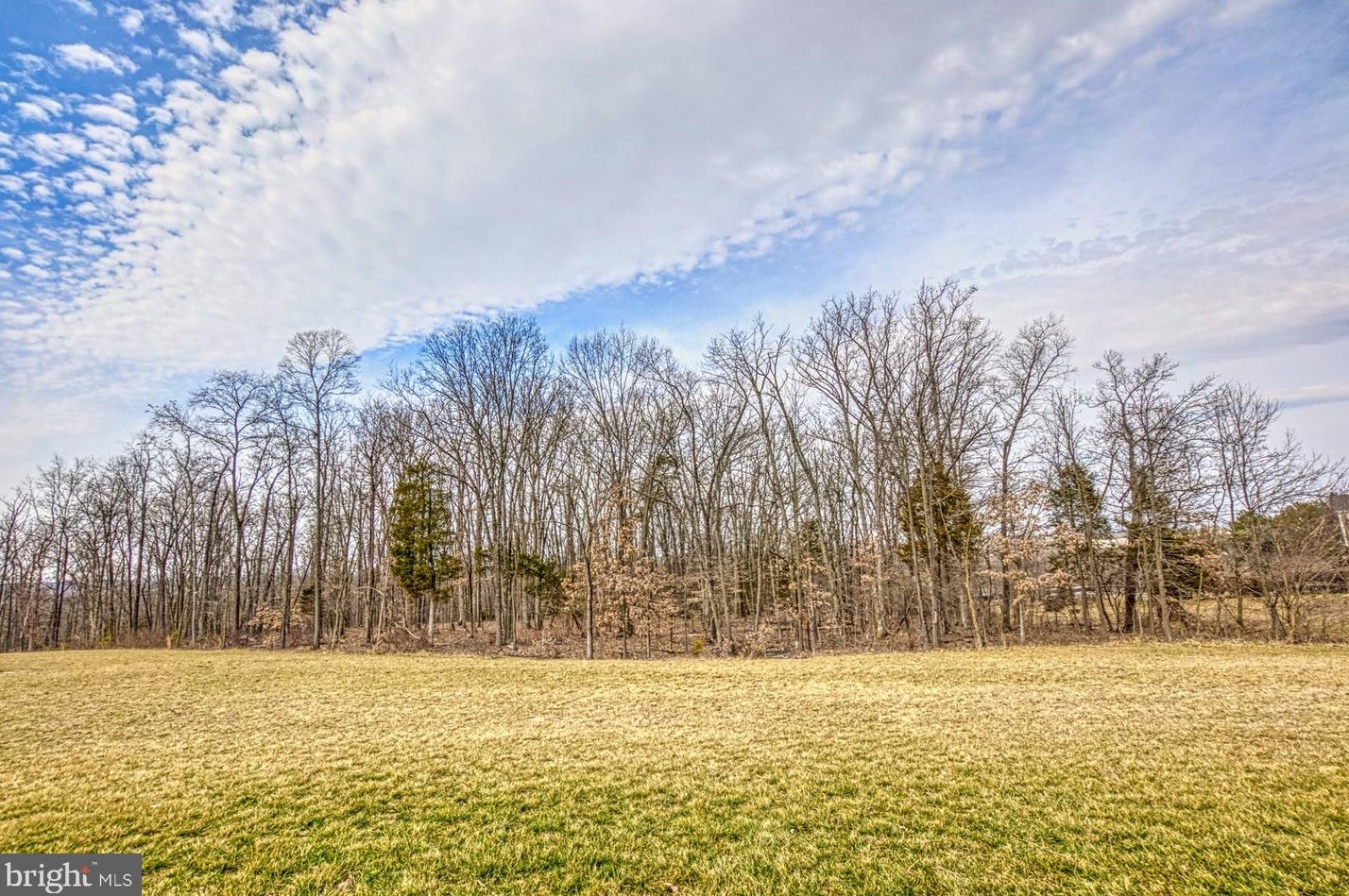 20920 Goose Preserve Dr, Ashburn, VA 20148