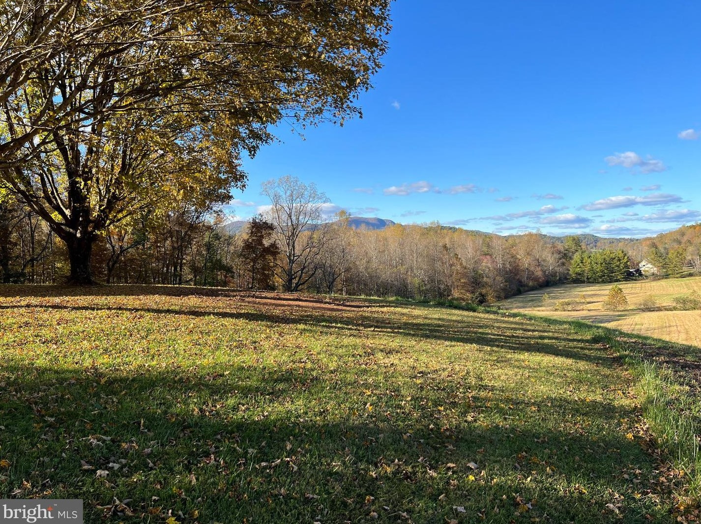 1465 S F T Valley Rd, Madison, VA 22727
