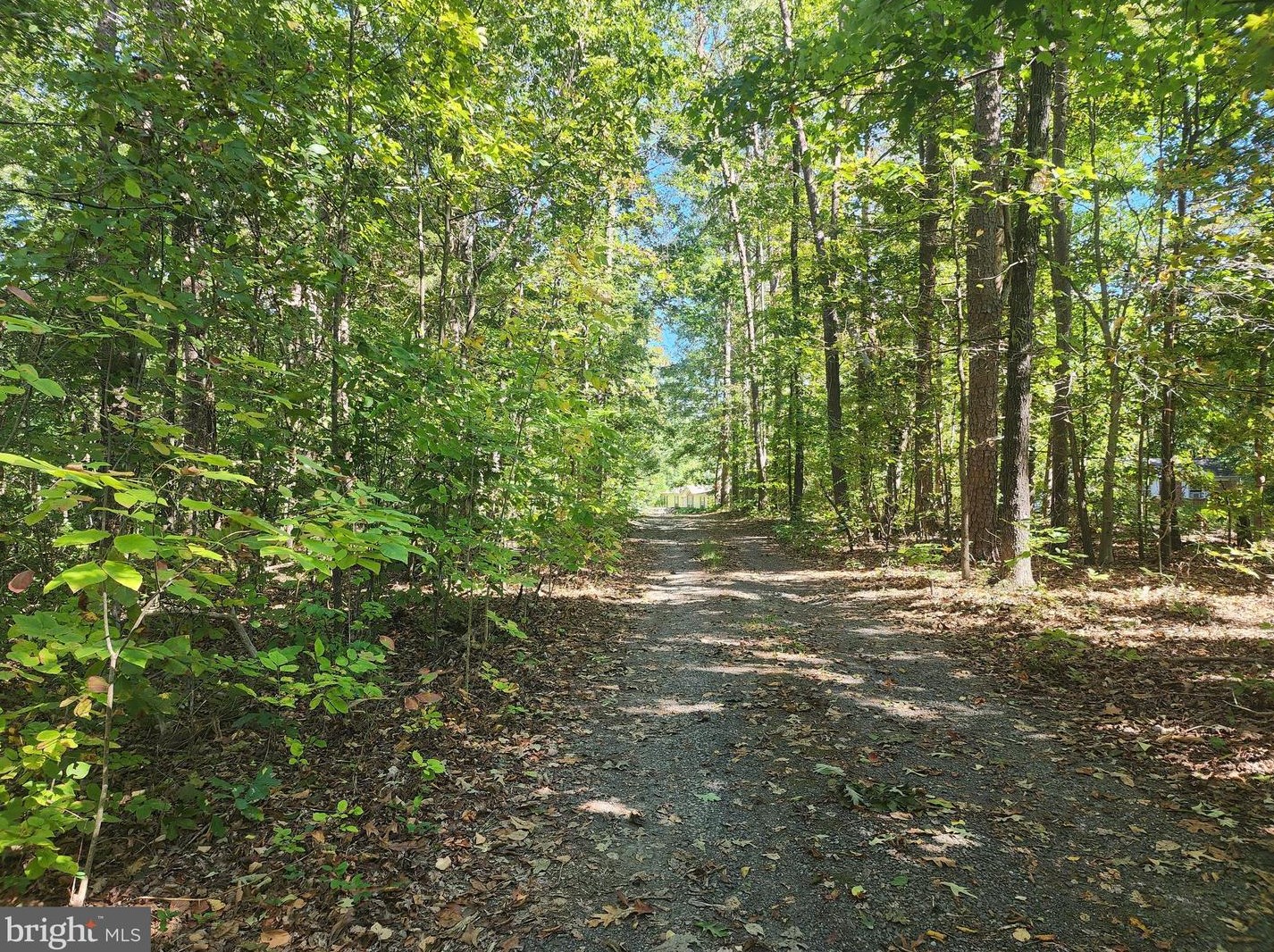150 Mt Zion Church Rd, Madison, VA 22727