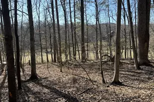 Tbd Duet Rd, Madison, VA 22727 - Photo 1