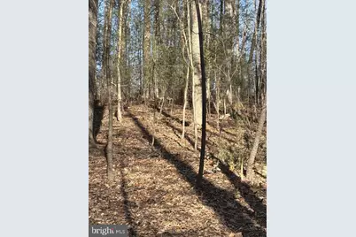 Tbd Duet Road, Madison, VA 22727 - Photo 4