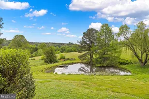 2188 Seville Rd, Madison, VA 22727 - Photo 28