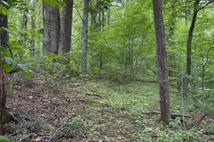 60 Mountain Breeze Ln, Syria, VA 22743 - Photo 80