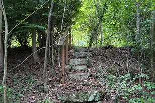 60 Mountain Breeze Ln, Syria, VA 22743 - Photo 68