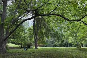 60 Mountain Breeze Ln, Syria, VA 22743 - Photo 48