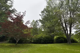 60 Mountain Breeze Ln, Syria, VA 22743 - Photo 56