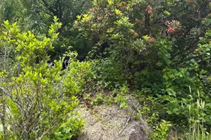 60 Mountain Breeze Ln, Syria, VA 22743 - Photo 60