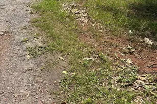 Tbd Mount Pisgah Church Dr, Orange, VA 22960 - Photo 8