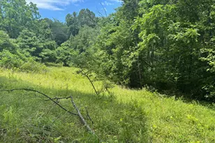 Tbd Mount Pisgah Church Dr, Orange, VA 22960 - Photo 18