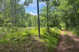 Tbd Mount Pisgah Church Dr, Orange, VA 22960 - Photo 12