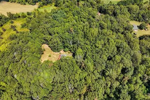 628 River Rd, Madison, VA 22727 - Photo 12