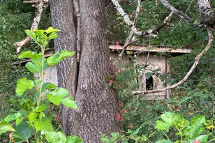 5424 N Seminole Trail, Brightwood, VA 22715 - Photo 36