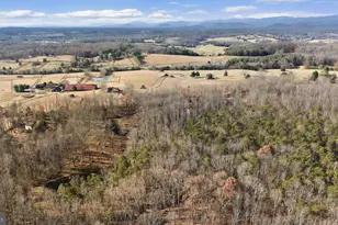 161 Persimmon, Madison, VA 22727 - Photo 36