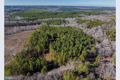 00 Hayes Mill Road, Boydton, VA 23917 - Photo 6