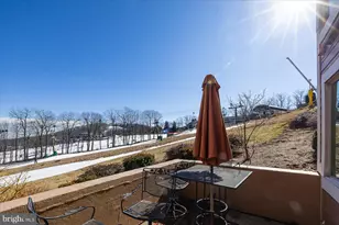 905 Diamond Hill, Wintergreen, VA 22967 - Photo 46