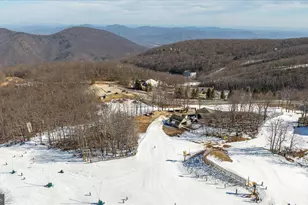 905 Diamond Hill, Wintergreen, VA 22967 - Photo 44