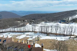 905 Diamond Hill, Wintergreen, VA 22967 - Photo 28