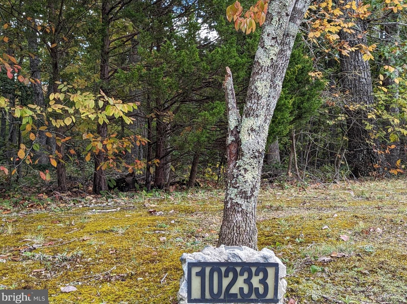 10233 Old Lawyers Rd, Unionville, VA 22567
