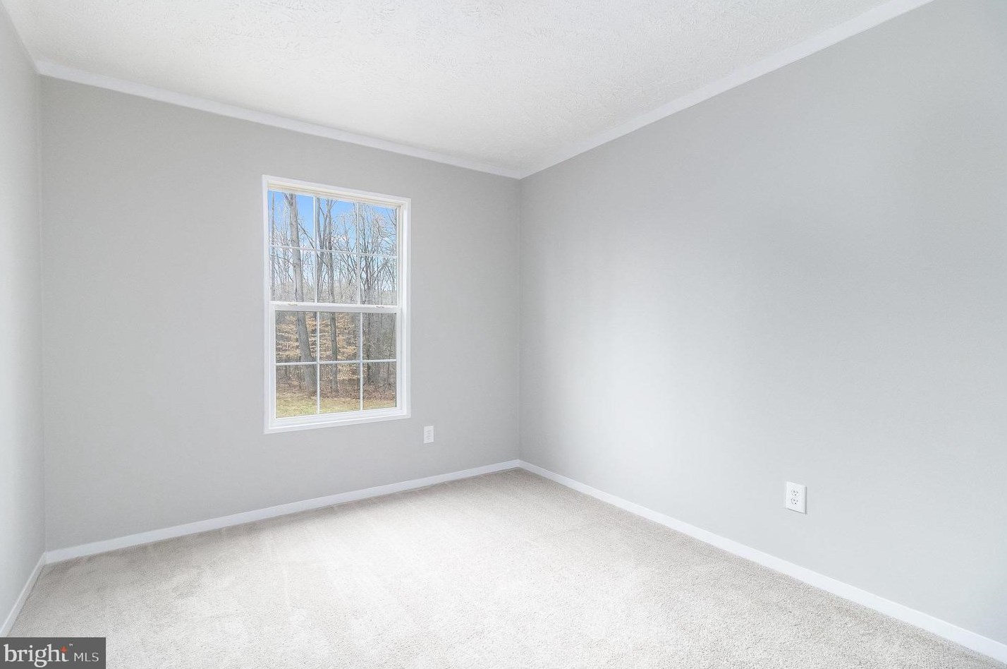 24138 Ida Mae Ln, Unionville VA  22567-2049 exterior