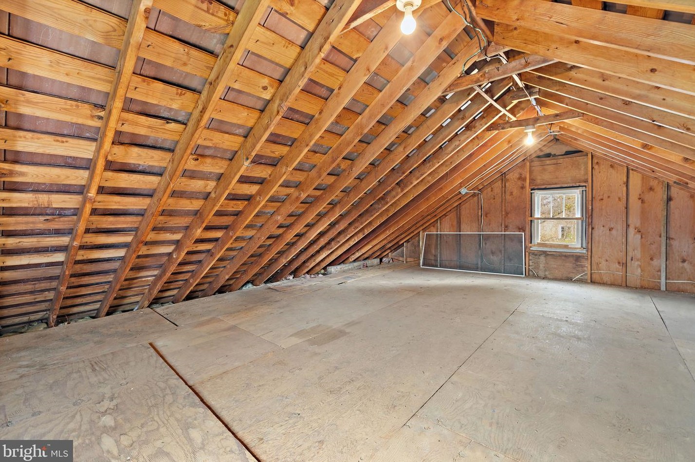 19595 Constitution Hwy, Madison Mills VA  22960-4309 exterior