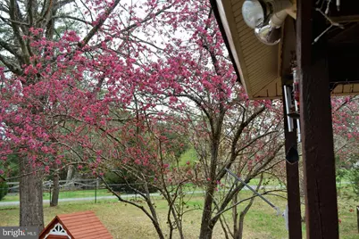 7719 Vermont Road, Rhoadesville, VA 22542 - Photo 28