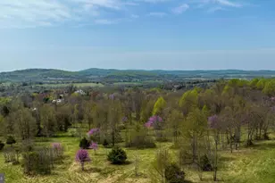 Lot 19 Hawthorne Dr, Rapidan, VA 22733 - Photo 1