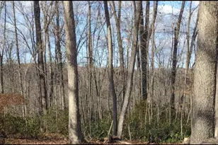 18184 Crawford Ln, Gordonsville, VA 22942 - Photo 72