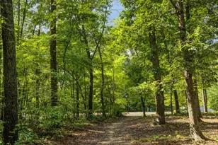 Lot 391 Cougar Ln, Locust Grove, VA 22508 - Photo 40