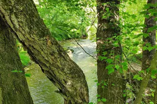 14376 Tower Rd, Unionville, VA 22567 - Photo 4