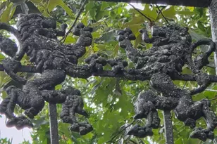 14376 Tower Rd, Unionville, VA 22567 - Photo 2