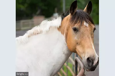 112 Butler Circle, Locust Grove, VA 22508 - Photo 50