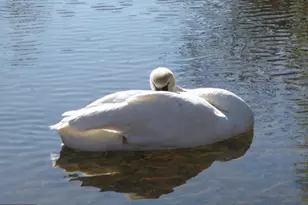 204 Freedom Rd, Locust Grove, VA 22508 - Photo 42