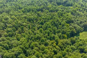 Hunters Ridge Ln, Unionville, VA 22567 - Photo 24