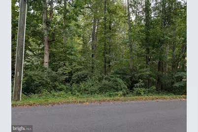 203 Battlefield Road, Locust Grove, VA 22508 - Photo 6