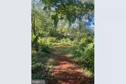 James Madison Highway, Gordonsville, VA 22942 - Photo 2