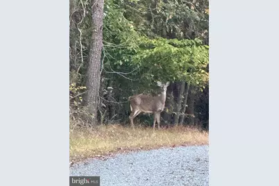 Lot 7 Beech Tree Road, Orange, VA 22960 - Photo 16