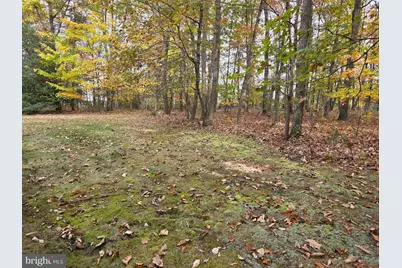 31380 Paynes Farm, Locust Grove, VA 22508 - Photo 2