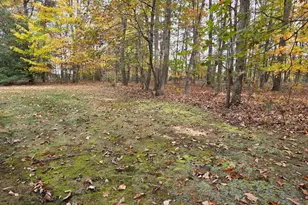 31380 Paynes Farm, Locust Grove, VA 22508 - Photo 2