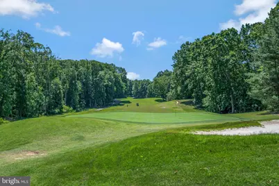 219 Cornwallis Avenue, Locust Grove, VA 22508 - Photo 94