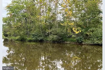 26700 Daniels Point Drive, Unionville, VA 22567 - Photo 50