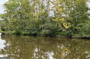 26700 Daniels Point Dr, Unionville, VA 22567 - Photo 50