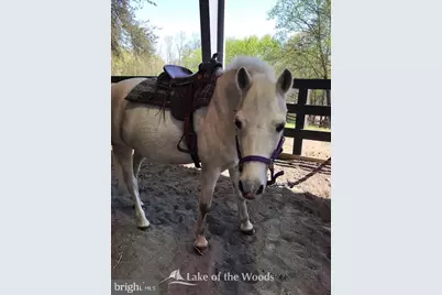 616 Mt Pleasant Drive, Locust Grove, VA 22508 - Photo 16