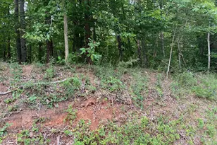 0 Lahore Rd, Orange, VA 22960 - Photo 1