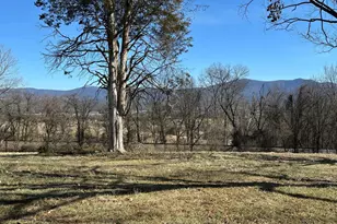 Mill Creek Rd, Luray, VA 22835 - Photo 1